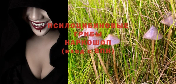 МДПВ Аркадак