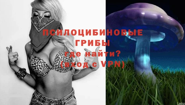 а пвп мука Баксан