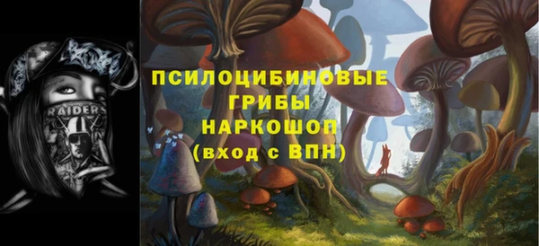 МДПВ Аркадак