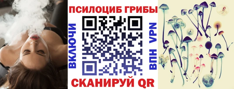 как найти наркотики  Арсеньев  OMG ТОР  Галлюциногенные грибы Cubensis 